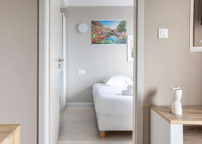 Апартаменты Le Tassigny A 2mn Du Centre Avec Parking Кольмар